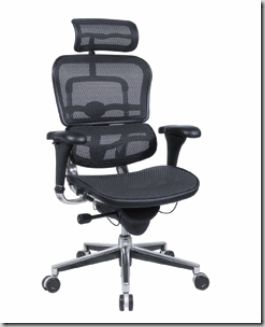 ME7ERG-ergohuman-raynor-mesh-ergonomic-chair-chairs-high-back-seating-office-executive-buy-online