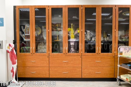 modular casework for lab storage with wood finishes