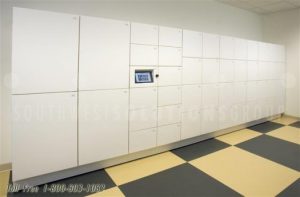 tz smart day lockers with smart phone reservation for employee personal storage