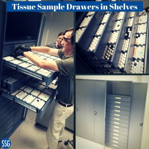 shelving with drawers storing tissue samples in liquid