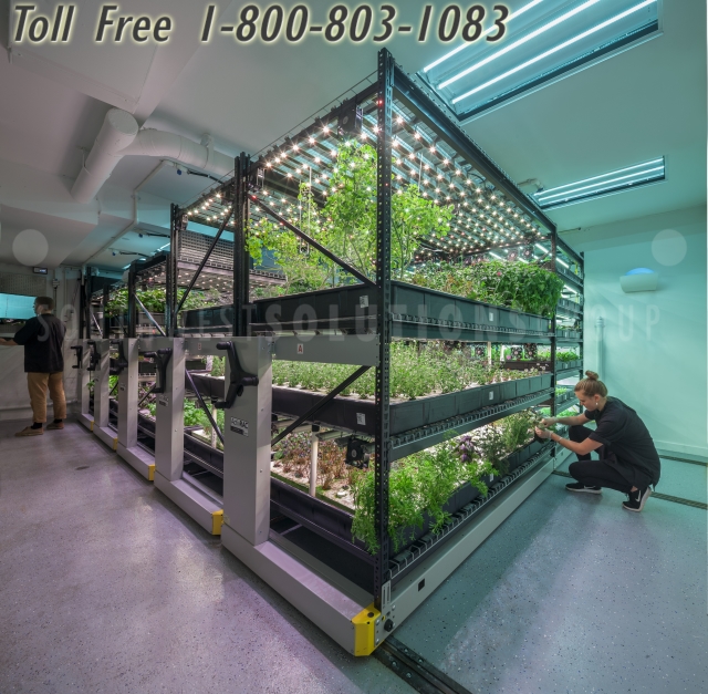 high yield volume growing system commercial storage racks marijuana