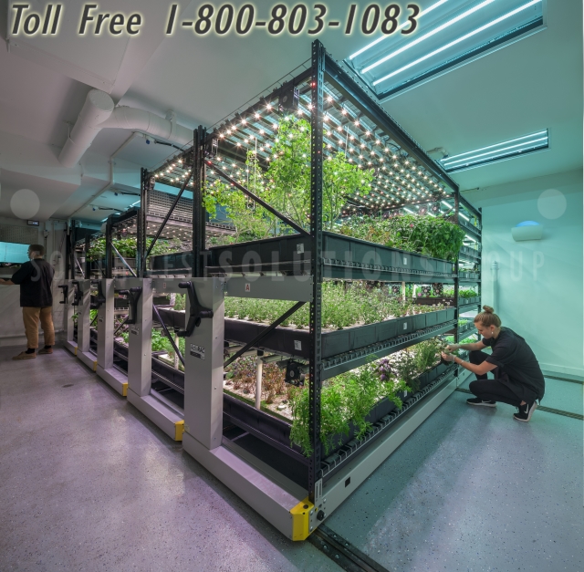 marijuana growing vertical storage racks