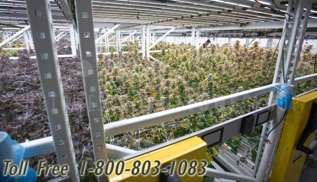 vertical high density grow racks austin college station bryan san marcos temple brenham kerrville fredericksburg