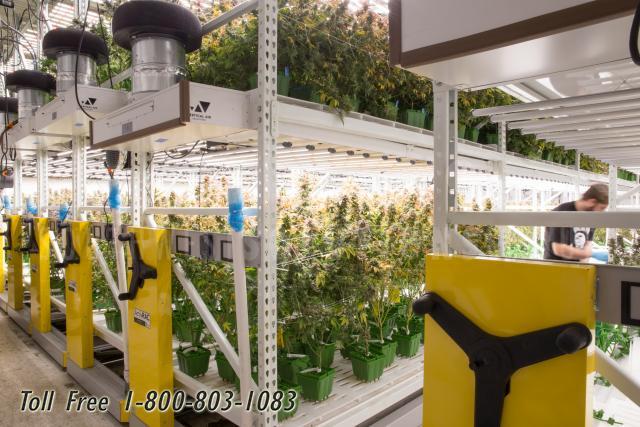 vertical indoor marijuana grow systems memphis jackson oxford tupelo germantown dyersburg southaven