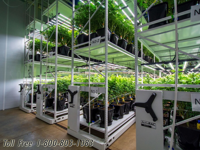 cannabis dispensary storage grow system rolling racks