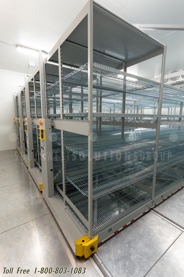 freezer cold storage mobile pallet racks