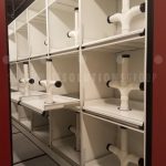Athletic gear shoulder pad trees shelving