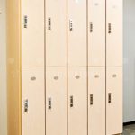 Custom storage office workplace lockers