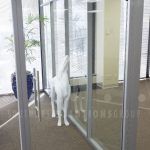Demountable glass architectural office walls