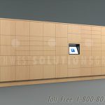 Electronic intelligent day use lockers parcel deliveries all day pickup ssg tz 500