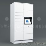 Electronic intelligent parcel lockers package pickup ssg tz 500