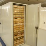 Entomology rack cabinet botanical storage insects museum