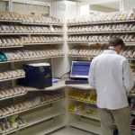 Framewrx pharmacy prescription drug medication storage picking station hospital rack shelving plastic bin