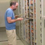 Herbarium museum cabinet compact shelving shelf rolling storage
