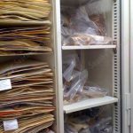Herbarium museum cabinet plant botanical botany storage moving shelf