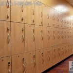 Lockers wood locking secured safe key keyless options modular casework locker room office services doctor storage