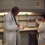 Medical lab record motorized kardex remstar lektriever cabinet
