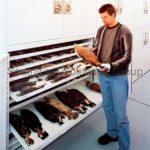 Museum artifact cabinets drawer units artifact racks