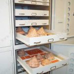 Museum cabinet sea shells storage drawers oceanic sealed doors
