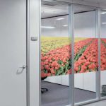Partition walls solid glass office walls