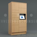 Smart day use electronic parcel delivery lockers ssg tz 500