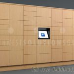 Smart locker with audit tracking package deliveries storage ssg tz 500