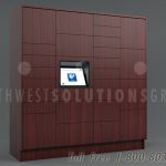 Smart parcel lockers storing package deliveries 24 7 ssg tz 500