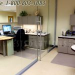 Solid framed frameless glass office wall systems