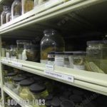 Species storage wet storage jars shelving