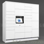 Storing package deliveries electronic intelligent lockers ssg tz 500