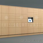 Temporary day use electronic intelligent parcel lockers 24 7 delivery ssg tz 500