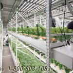 Vertical growing high yield indoor compact racks