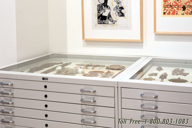 entomology herbarium botany artifact storage cabinets