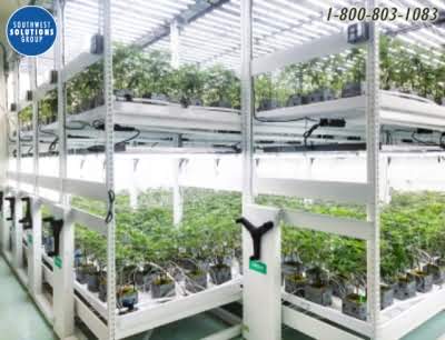 2 tier cannabis grow systems