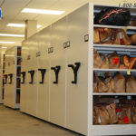 high density evidence storage shelving