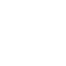 public safety icon