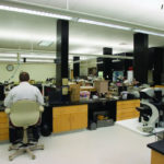 Lab furniture for forensic storage
