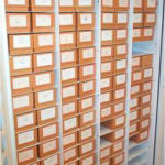 entomology bug collection storage cabinet