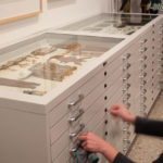 glass top flat file museum visible cabinet
