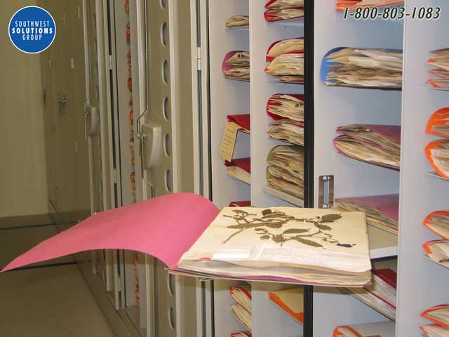 herbarium botany museum cabinets