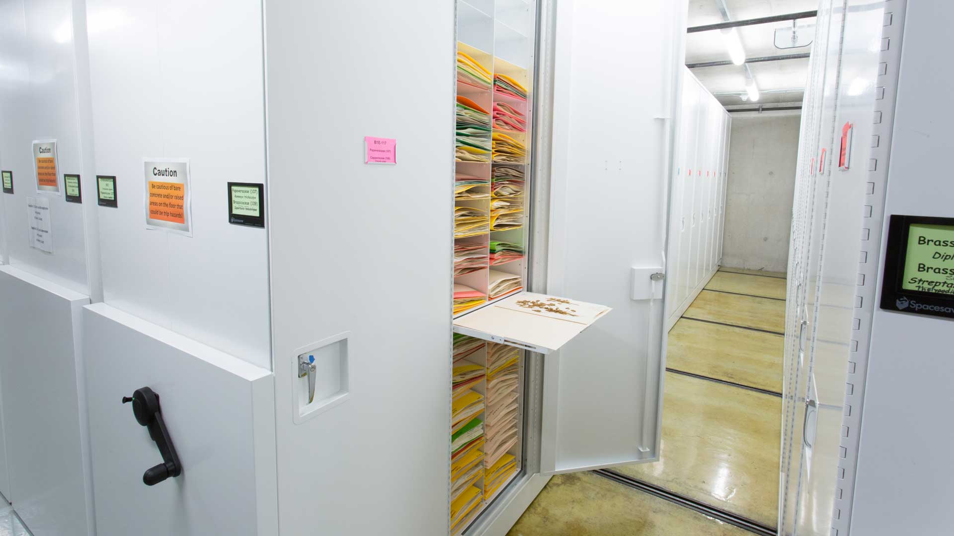 high density herbarium storage cabinets