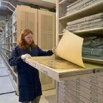 large flat file drawer cabinet museum