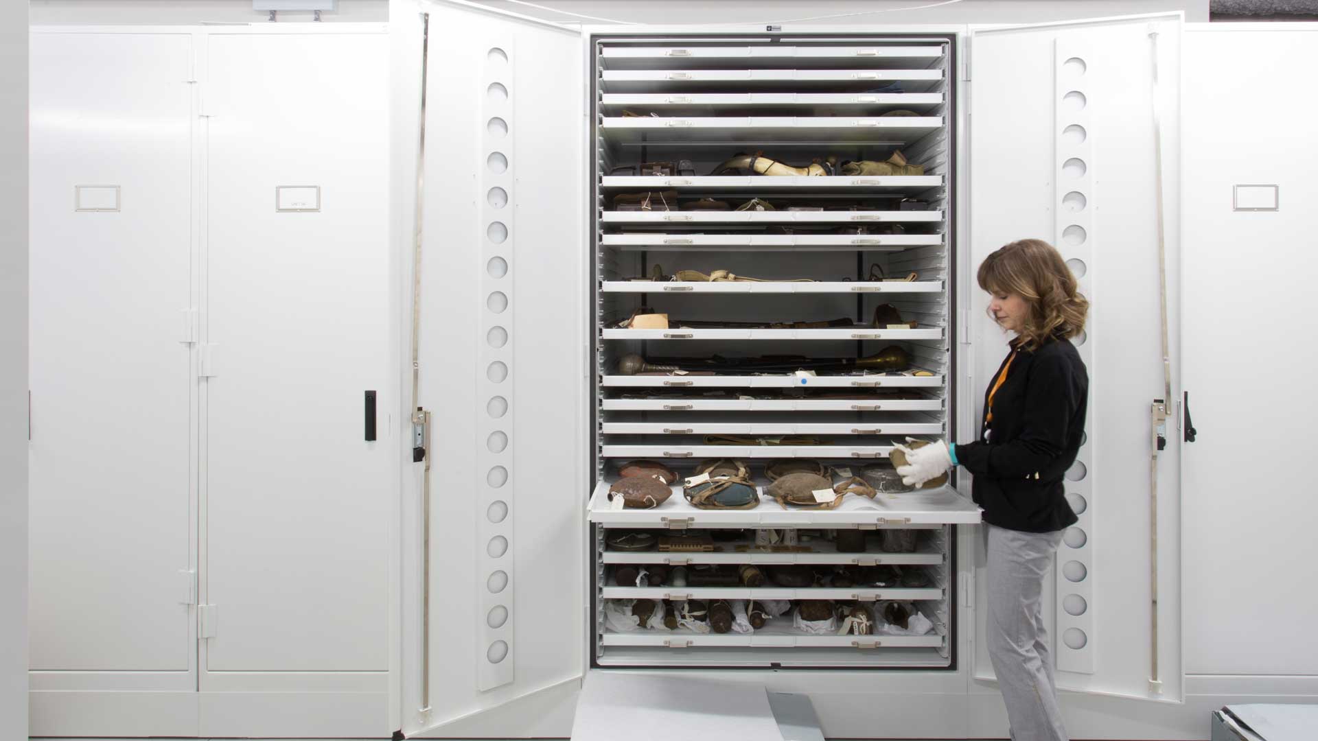 museum fossil storage