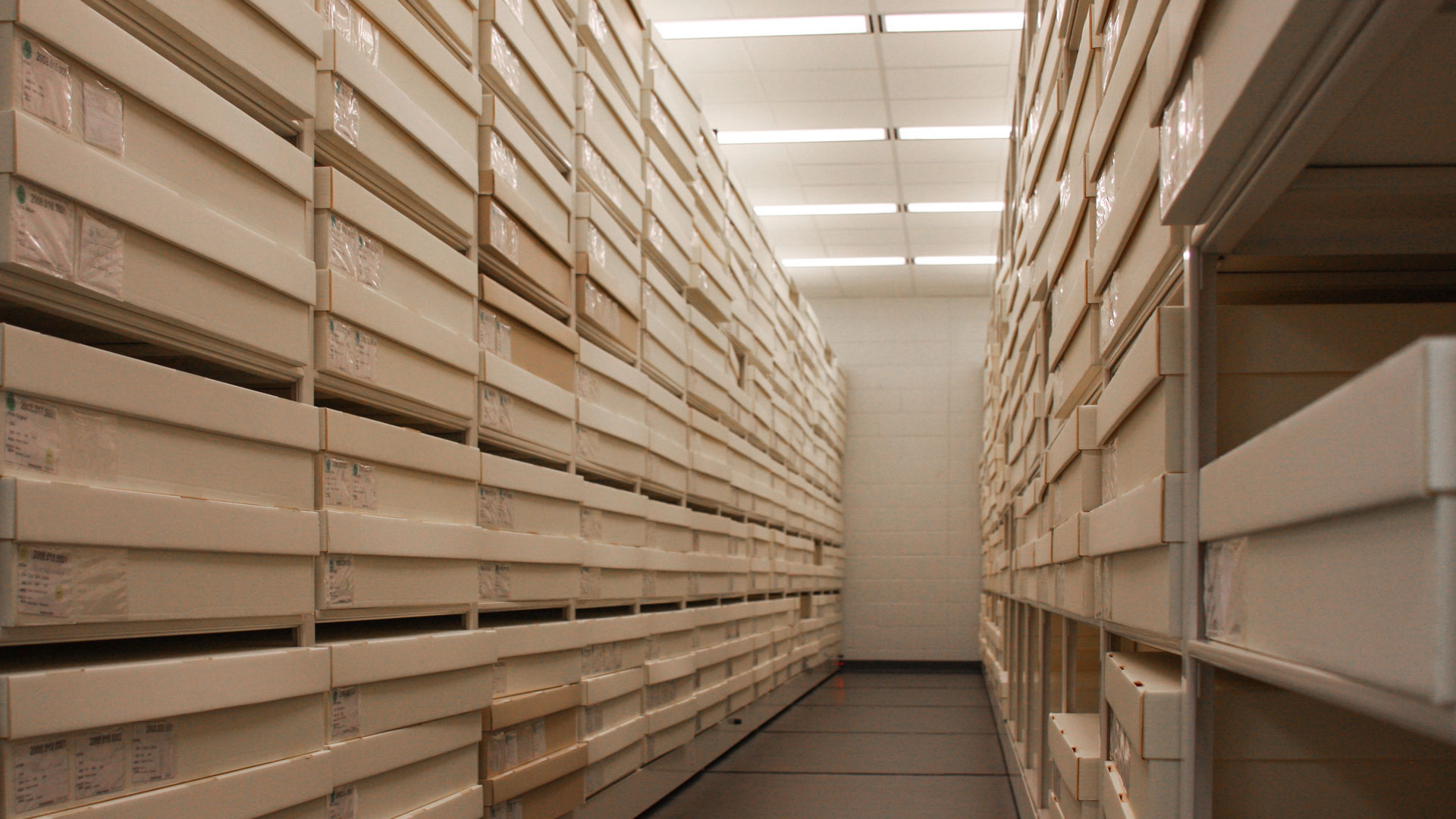 museum works on paper shelving