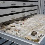 specialized artifact storage cabinets