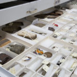 storing small artifacts museum cabinets