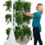 Cannabis Drying Racks