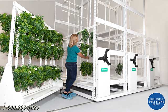 commercial cannabis storage