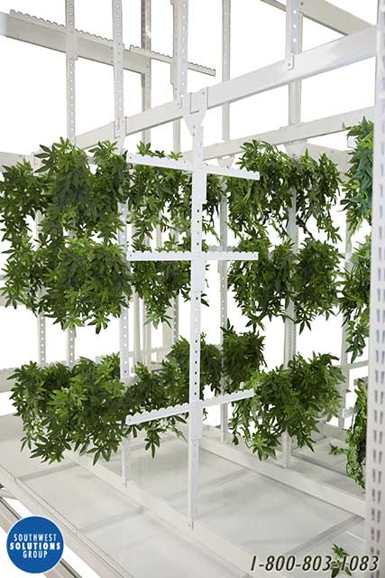 commerical growers plant drying racks