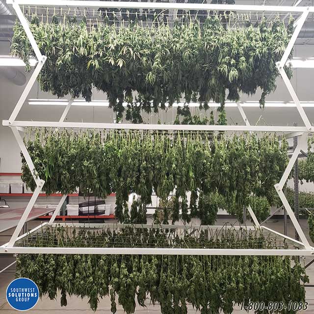 efficient racks hang dry cannabis